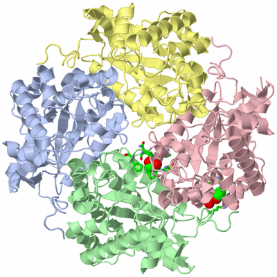 Image Asym./Biol. Unit - sites