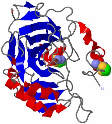 Image Asym./Biol. Unit