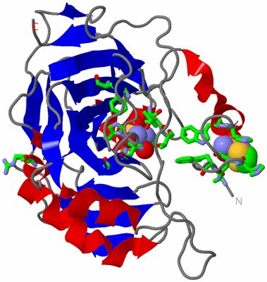 Image Asym./Biol. Unit - sites