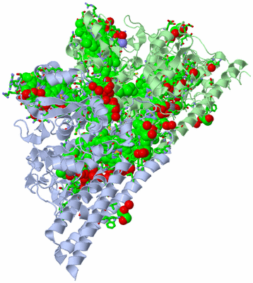 Image Asym. Unit - sites