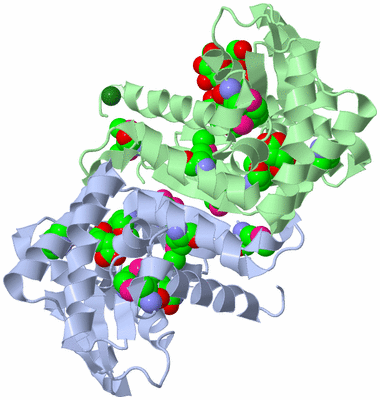 Image Biological Unit 1