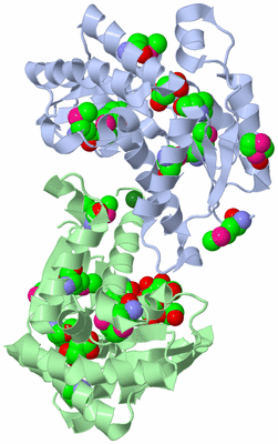 Image Biological Unit 2