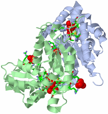 Image Biol. Unit 1 - sites