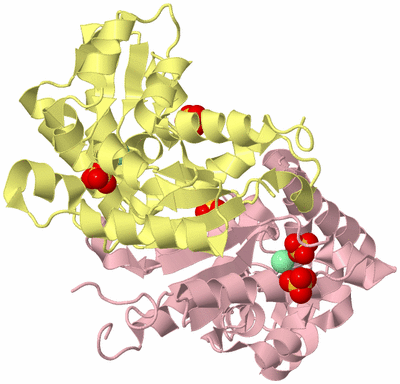 Image Biological Unit 2