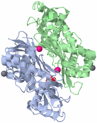 Image Biological Unit 1