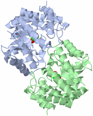 Image Asym./Biol. Unit