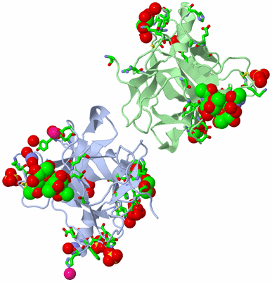 Image Asym./Biol. Unit - sites