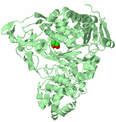 Image Biological Unit 2