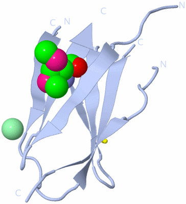 Image Biological Unit 1