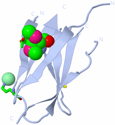 Image Biol. Unit 1 - sites