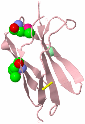 Image Biological Unit 3