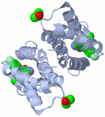 Image Biological Unit 1