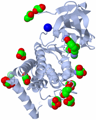 Image Biological Unit 1