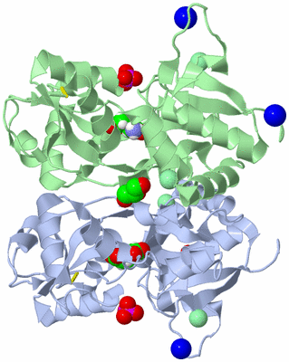 Image Asym./Biol. Unit