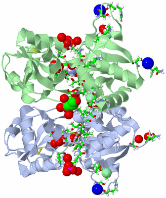 Image Asym./Biol. Unit - sites