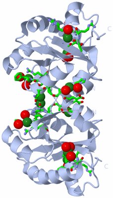 Image Biol. Unit 1 - sites