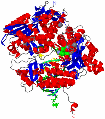 Image Asym./Biol. Unit