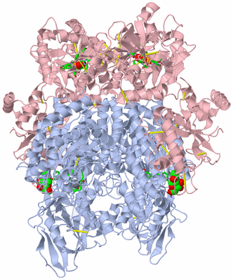 Image Biol. Unit 1 - sites