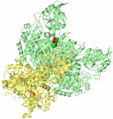 Image Biological Unit 2