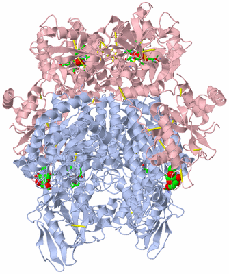 Image Biol. Unit 1 - sites