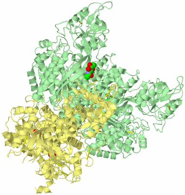 Image Biological Unit 2