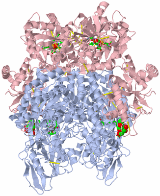 Image Biol. Unit 1 - sites