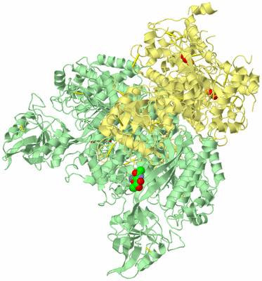 Image Biological Unit 2