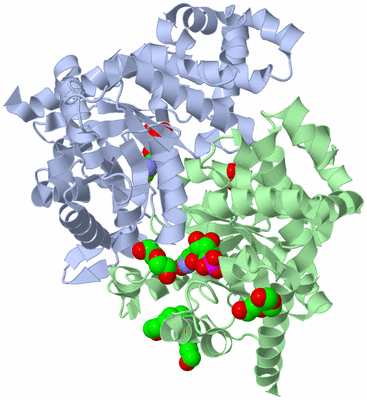 Image Biological Unit 1