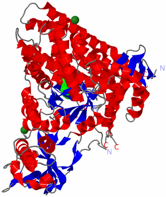 Image Asym./Biol. Unit