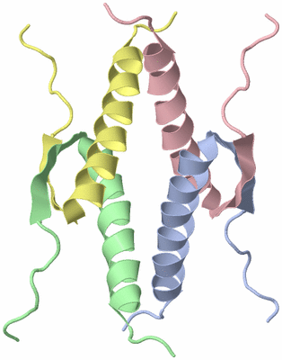 Image NMR Structure - model 1