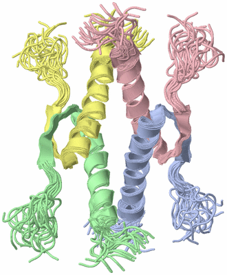 Image NMR Structure - all models