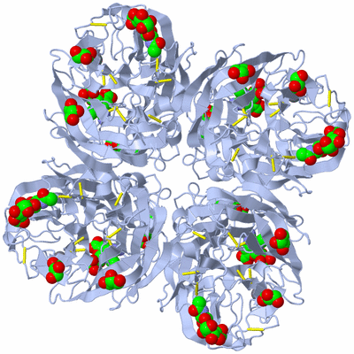 Image Biological Unit 1