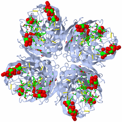 Image Biol. Unit 1 - sites