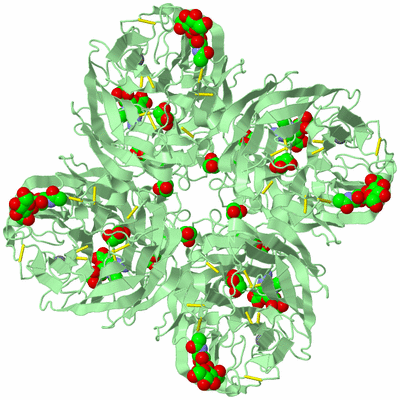 Image Biological Unit 2