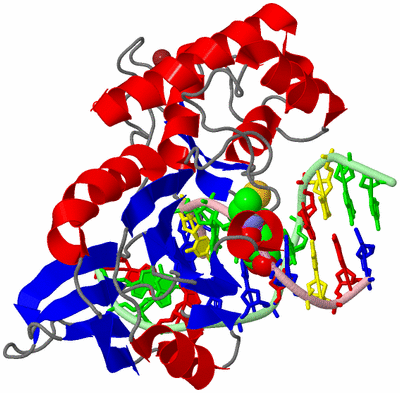 Image Asym./Biol. Unit