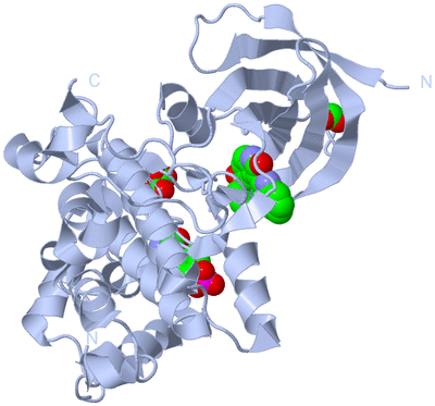 Image Biological Unit 1