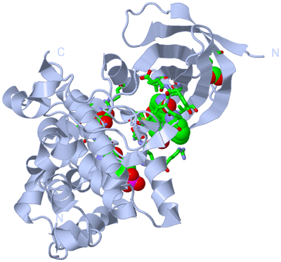 Image Biol. Unit 1 - sites