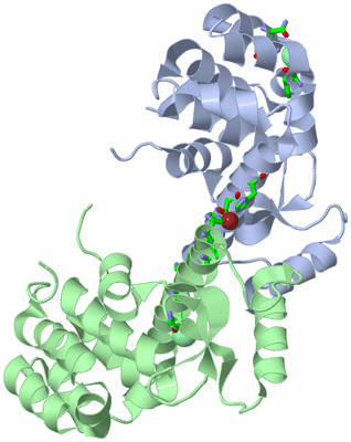 Image Asym./Biol. Unit - sites