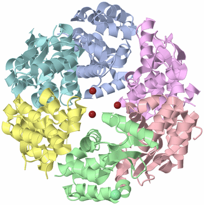 Image Asym./Biol. Unit