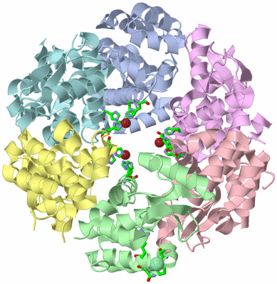 Image Asym./Biol. Unit - sites