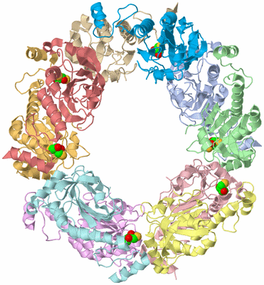 Image Asym./Biol. Unit