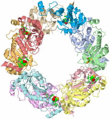 Image Asym./Biol. Unit - sites