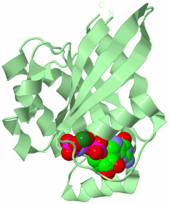 Image Biological Unit 2