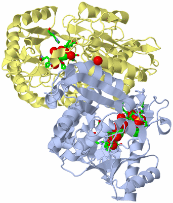 Image Biol. Unit 1 - sites