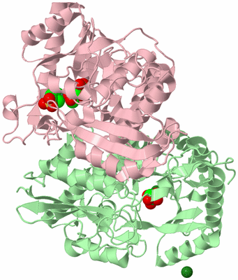 Image Biological Unit 2