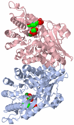 Image Biological Unit 3