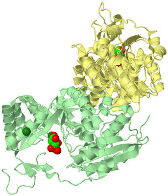 Image Biological Unit 4