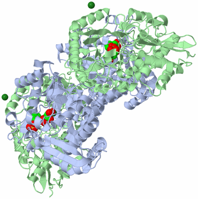 Image Biological Unit 5