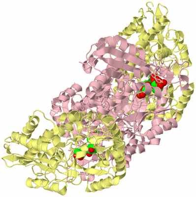 Image Biological Unit 6