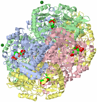 Image Biological Unit 7